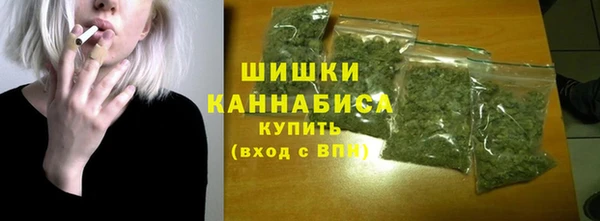 сатива Верхний Тагил