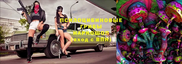 сатива Верхний Тагил