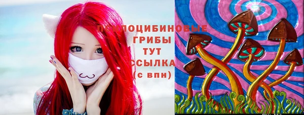 сатива Верхний Тагил