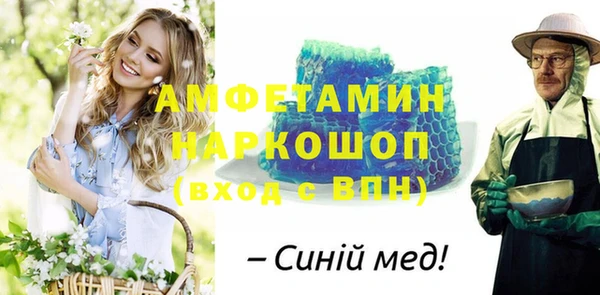 индика Мегион