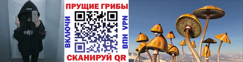 Купить где  Макарьев  Псилоцибиновые грибы MAGIC MUSHROOMS 